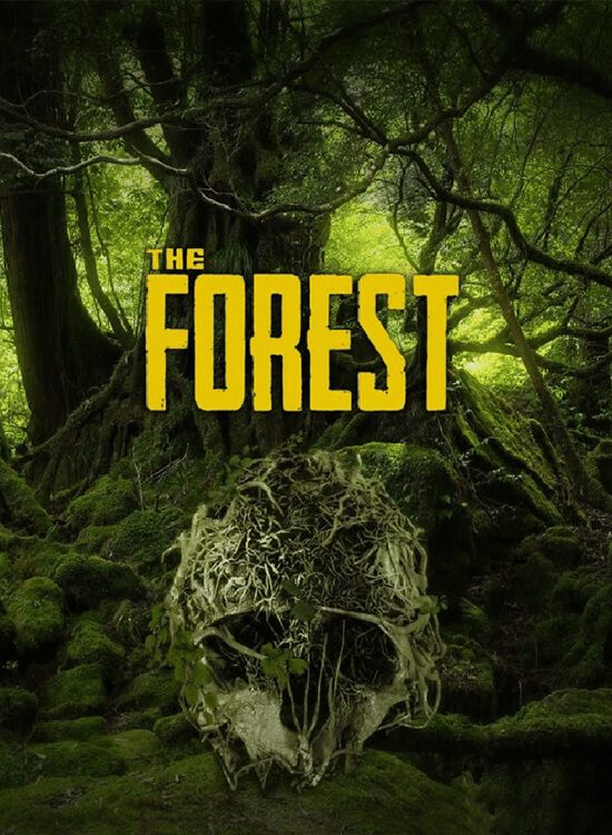 the forest